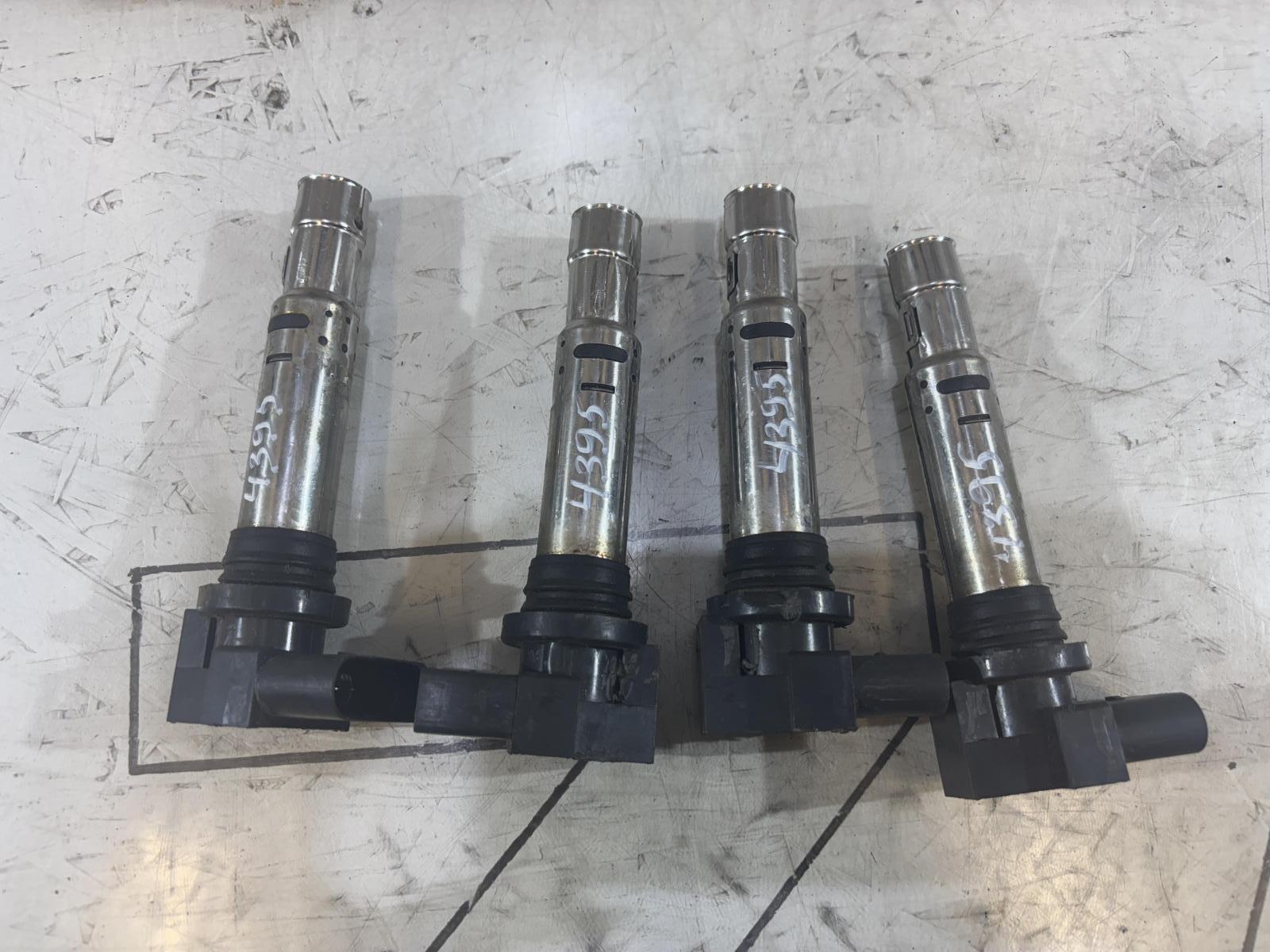 Катушка зажигания 036905715G Skoda Octavia II рест